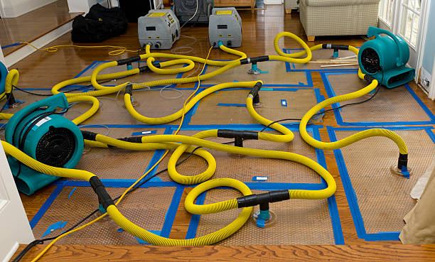 Professional Basement Flood Cleanup technician working in Little River-Academy, TX